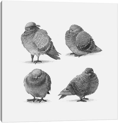Four Pigeons  Canvas Art Print - Children's Illustrations 