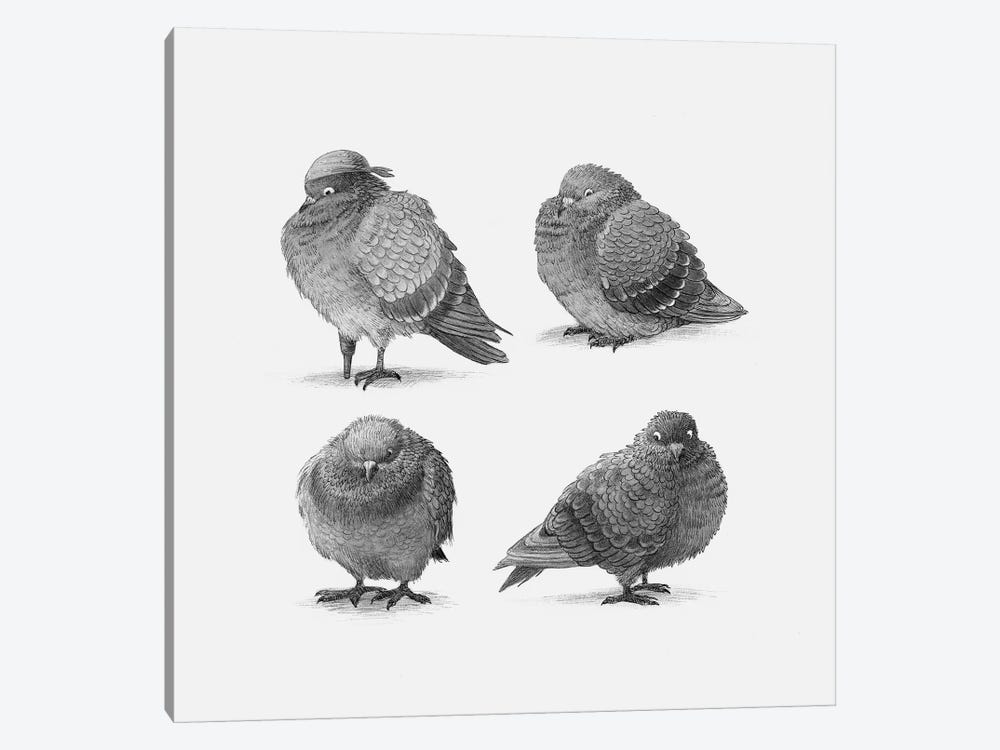 Four Pigeons  by Terry Fan 1-piece Canvas Print