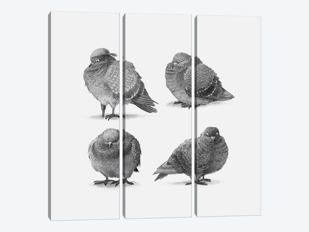 Four Pigeons  by Terry Fan 3-piece Canvas Art Print