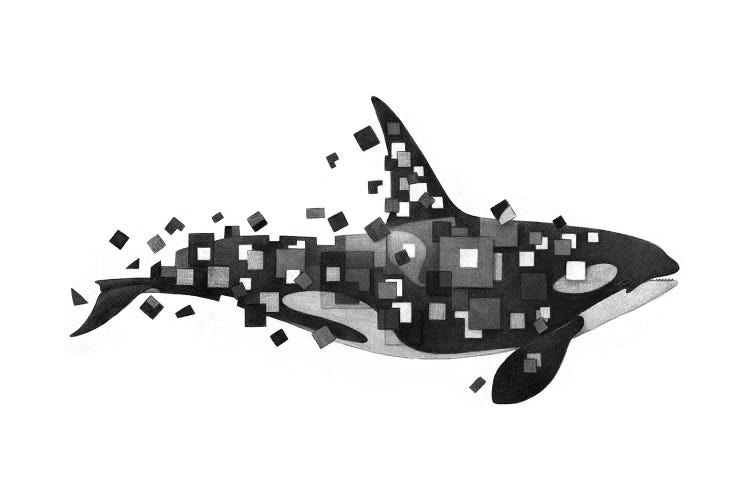 Fractured Killer Whale