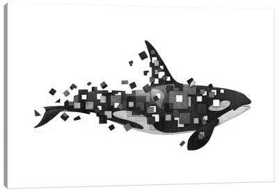 Fractured Killer Whale Canvas Art Print - Terry Fan
