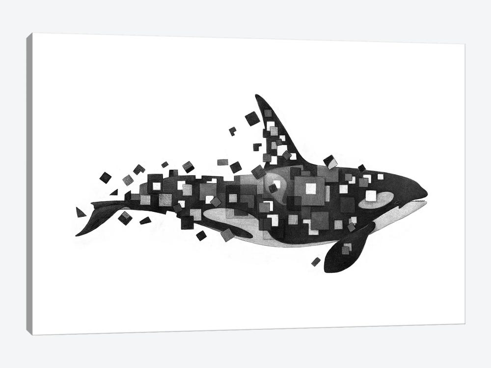 Fractured Killer Whale by Terry Fan 1-piece Canvas Wall Art