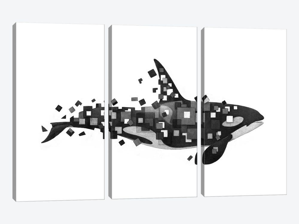 Fractured Killer Whale by Terry Fan 3-piece Canvas Wall Art