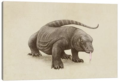 Komodo Canvas Art Print - Lizard Art