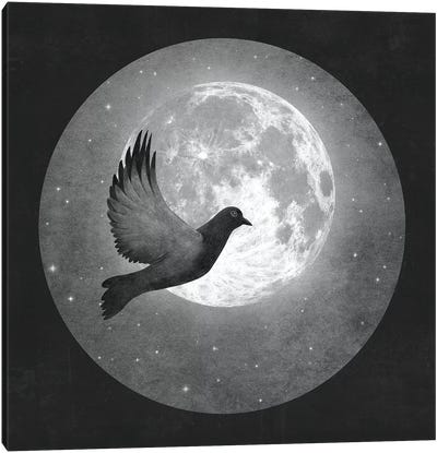 Lunar Flight Canvas Art Print - Terry Fan
