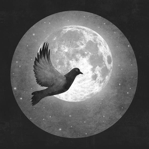 Children's Illustrations: Lunar Flight by Terry Fan