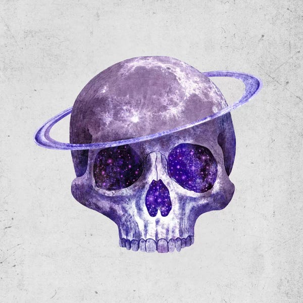 Terry Fan: Cosmic Skull by Terry Fan