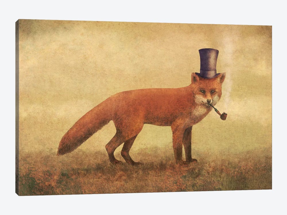 Crazy Like A Fox by Terry Fan 1-piece Canvas Art Print