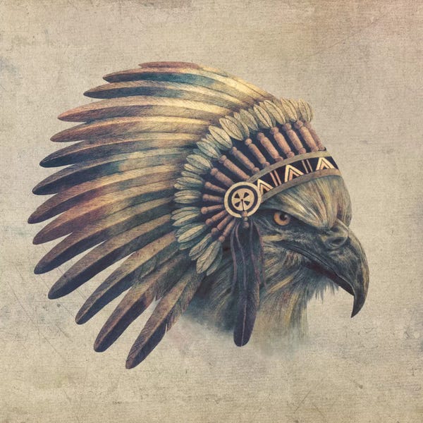 Illustrations: Eagle Chief #1 by Terry Fan