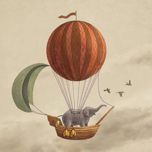 Hot Air Balloons: Adventure Awaits by Terry Fan