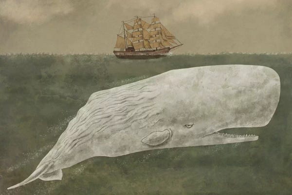 Illustrations: Far From Nantucket by Terry Fan