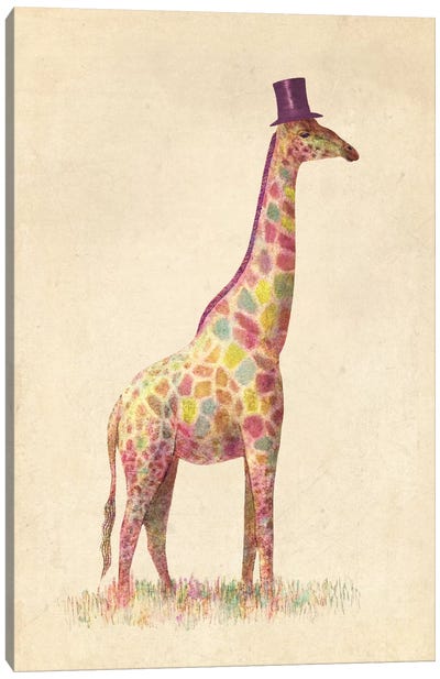 Fashionable Giraffe Canvas Art Print - Children's Illustrations 