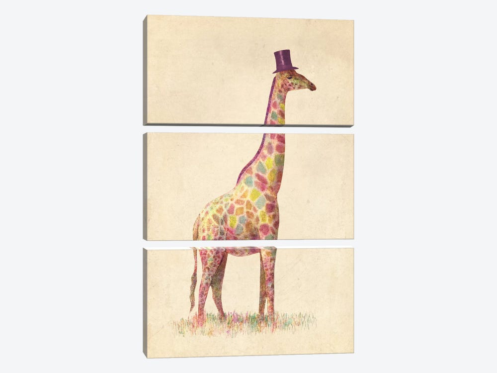 Fashionable Giraffe by Terry Fan 3-piece Canvas Art Print