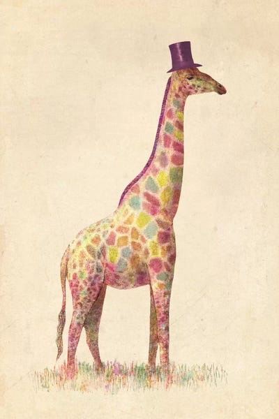 Children's Illustrations: Fashionable Giraffe by Terry Fan