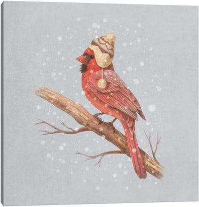 First Snow #1 Canvas Art Print - Cardinal Art