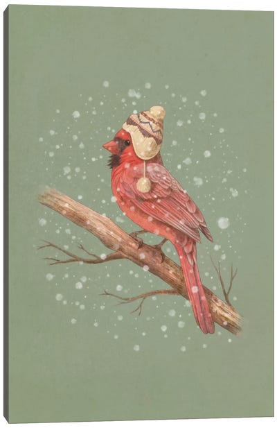 First Snow Portrait #1 Canvas Art Print - Cardinal Art