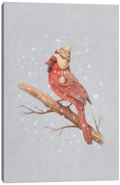First Snow Portrait #2 Canvas Art Print - Cardinal Art