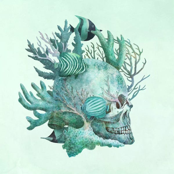 Fish: Full Fathom Five by Terry Fan