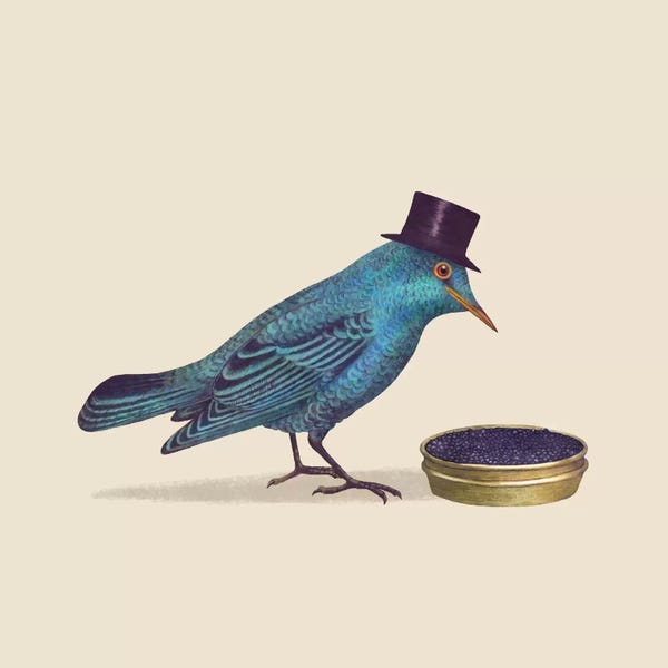 Children's Illustrations: Gentlebird Square by Terry Fan