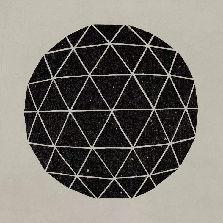 Geodesic #1 by Terry Fan wall art
