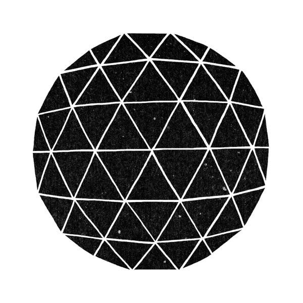 Terry Fan: Geodesic #2 by Terry Fan
