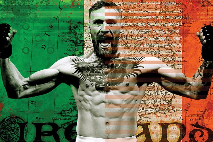 Ireland Flag Mcgregor by TJ wall art