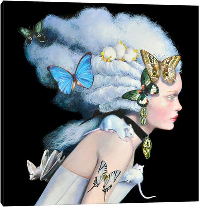 Wonderful Wig Canvas Art Print - Butterfly Art
