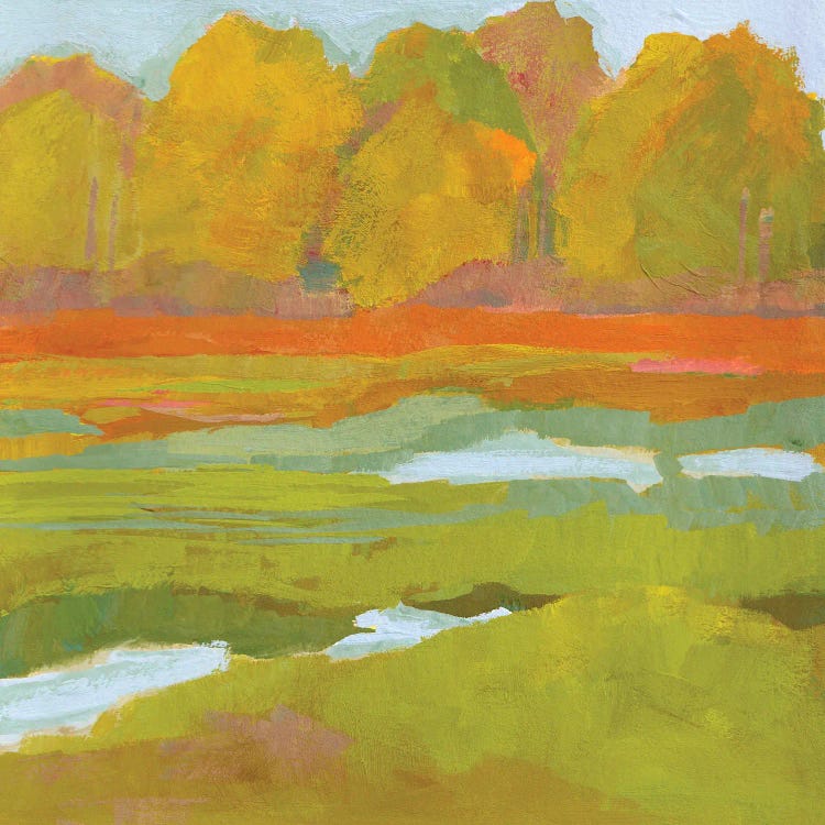 Morning Marsh by Toby Gordon wall art