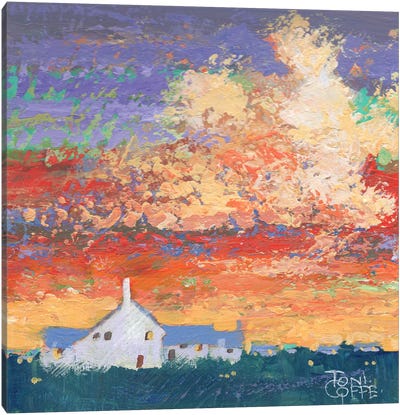 Clifftop Sunset Canvas Art Print - Toni Goffe