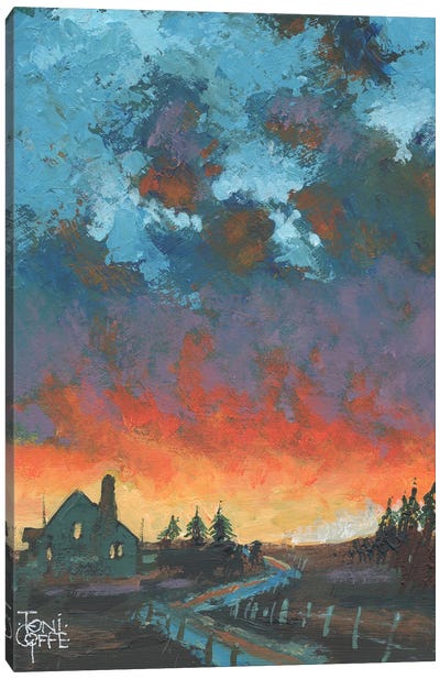 Firey Skies Canvas Art Print - Toni Goffe