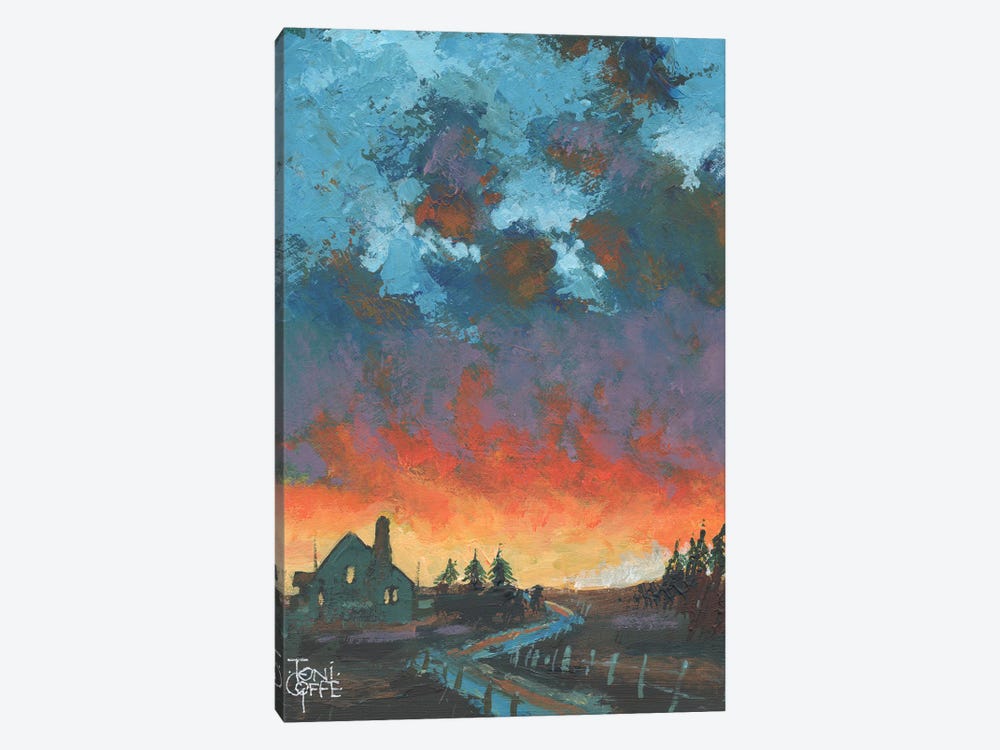Firey Skies by Toni Goffe 1-piece Art Print