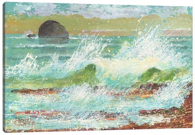 Gull Island Canvas Art Print - Contemporary Coastal