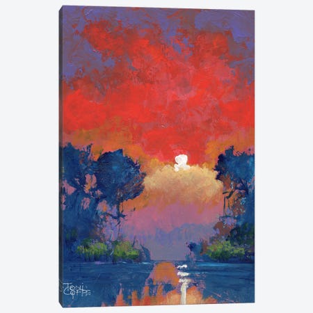 Jungle Sunset Canvas Print #TGF30} by Toni Goffe Canvas Print