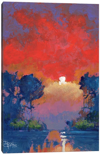 Jungle Sunset Canvas Art Print - Toni Goffe