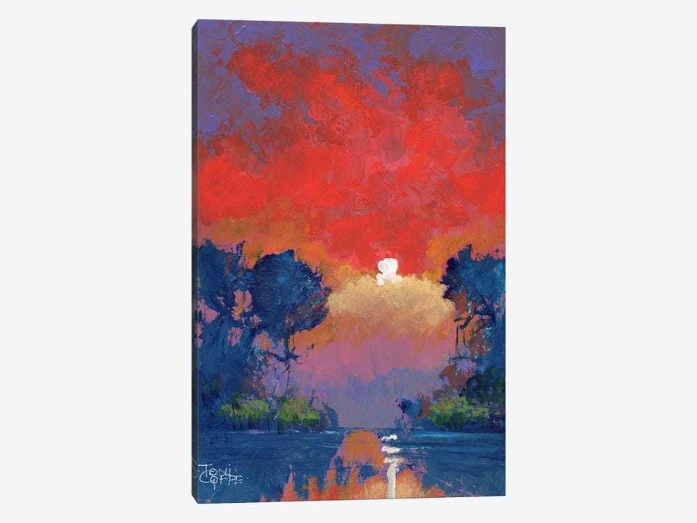 Jungle Sunset by Toni Goffe 1-piece Canvas Print