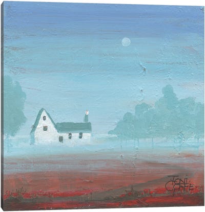 Misty Morning Canvas Art Print - Toni Goffe