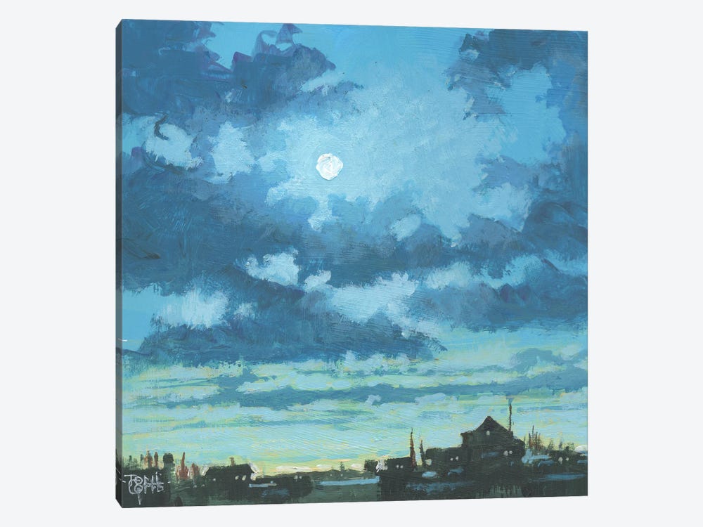 Moonlit Sky by Toni Goffe 1-piece Canvas Artwork