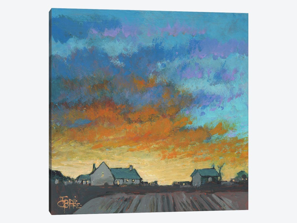 Morning Light by Toni Goffe 1-piece Canvas Art