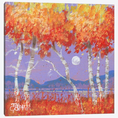 Autumn Reds Canvas Print #TGF3} by Toni Goffe Canvas Art