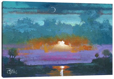 Purple Sunset Canvas Art Print - Toni Goffe
