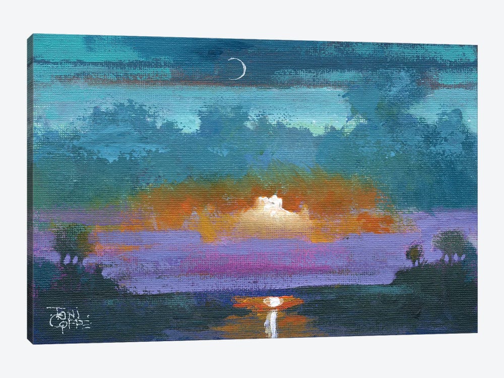 Purple Sunset by Toni Goffe 1-piece Canvas Print