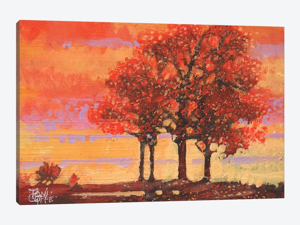 Autumn Sunshine by Toni Goffe 1-piece Canvas Artwork