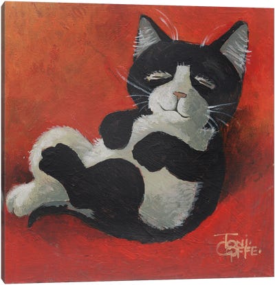 Resting Canvas Art Print - Kitten Art