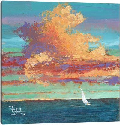 Scudding Clouds Canvas Art Print - Toni Goffe