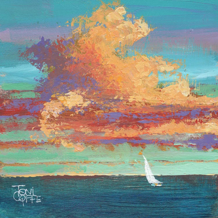 Scudding Clouds by Toni Goffe wall art