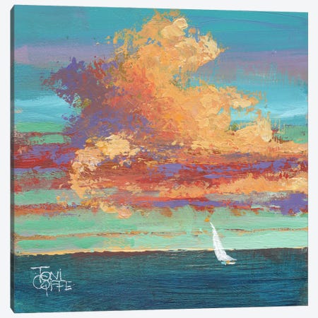 Scudding Clouds Canvas Print #TGF52} by Toni Goffe Art Print