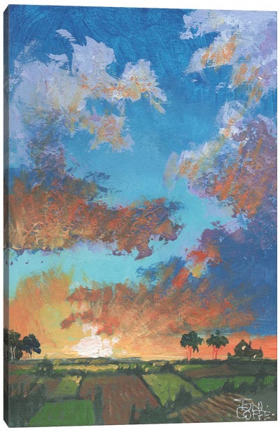 Spring Sunrise Canvas Art Print - Toni Goffe
