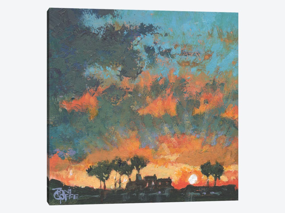 Sun Up by Toni Goffe 1-piece Canvas Artwork