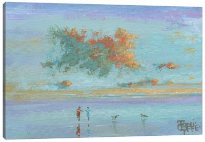 The Evening Sun Canvas Art Print - Toni Goffe