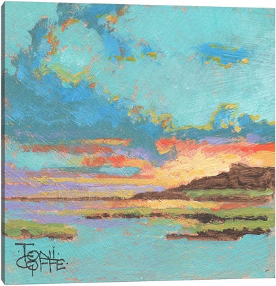 Bay Sunset Canvas Art Print - Toni Goffe